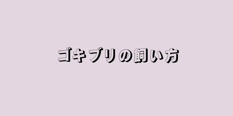 ゴキブリの飼い方
