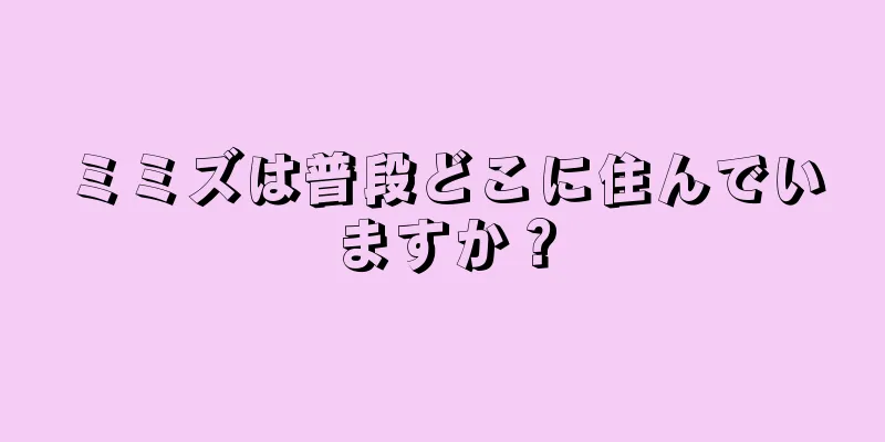 ミミズは普段どこに住んでいますか？