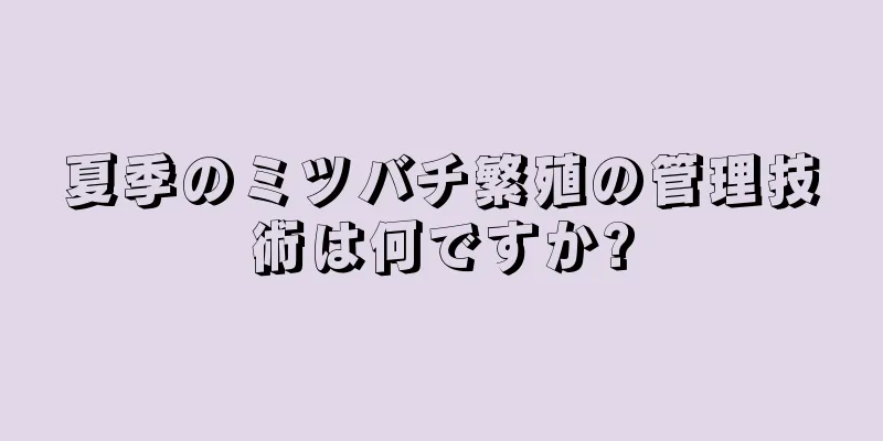 夏季のミツバチ繁殖の管理技術は何ですか?