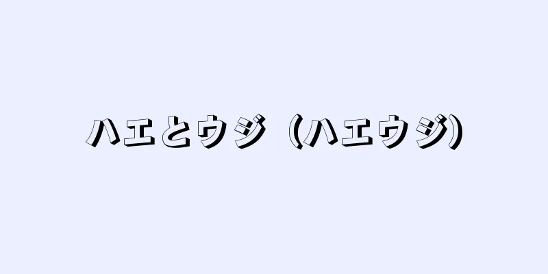 ハエとウジ（ハエウジ）