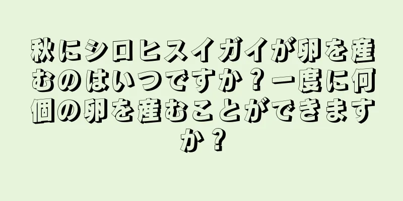 秋にシロヒスイガイが卵を産むのはいつですか？一度に何個の卵を産むことができますか？