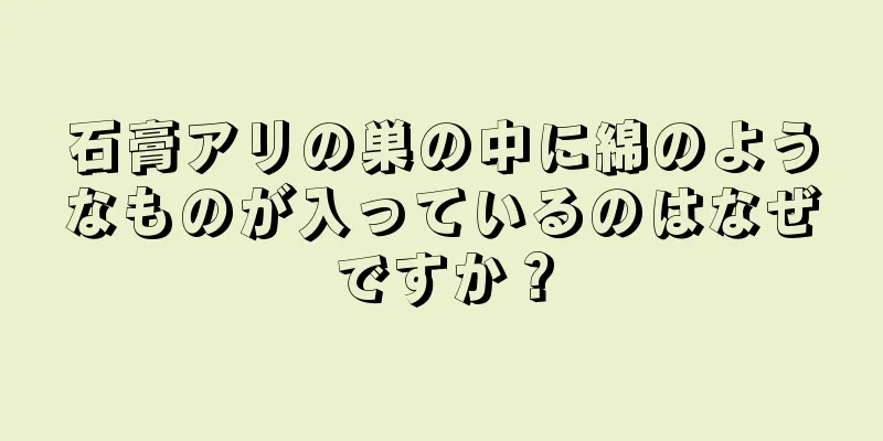 石膏アリの巣の中に綿のようなものが入っているのはなぜですか？