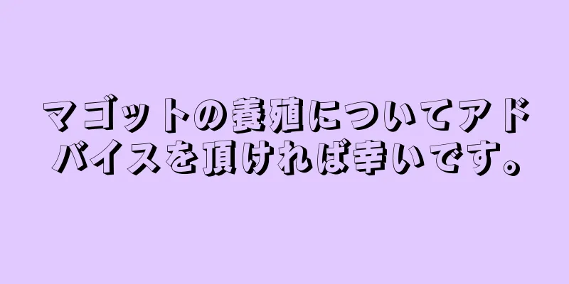 マゴットの養殖についてアドバイスを頂ければ幸いです。