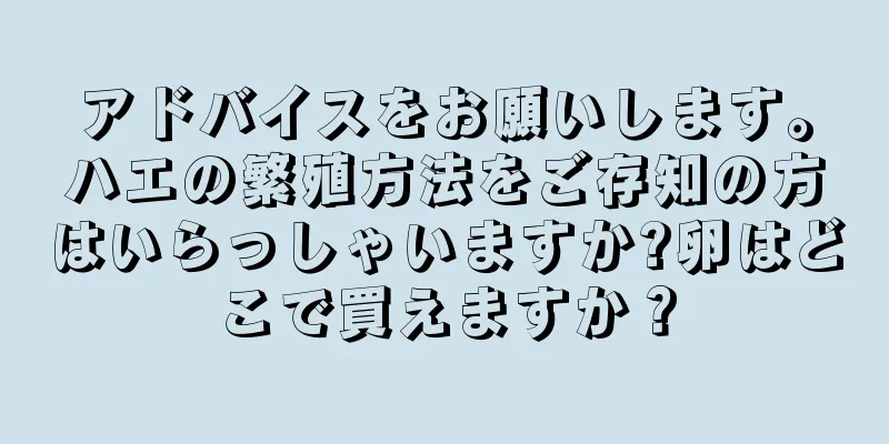 アドバイスをお願いします。ハエの繁殖方法をご存知の方はいらっしゃいますか?卵はどこで買えますか？