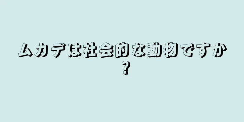 ムカデは社会的な動物ですか？