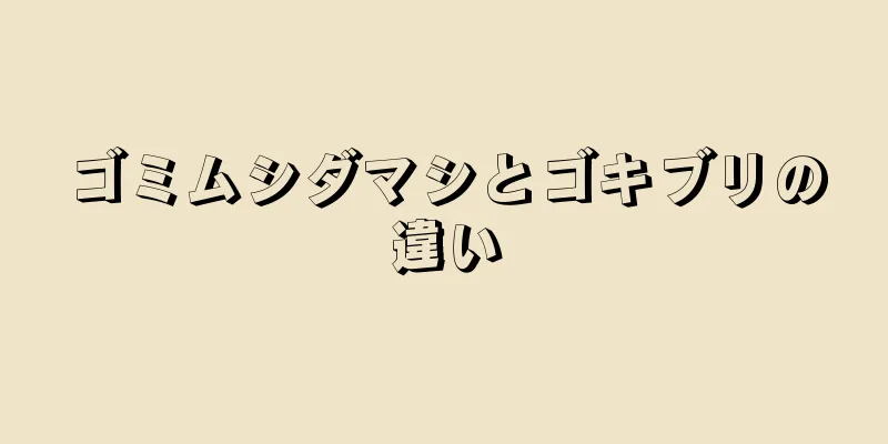 ゴミムシダマシとゴキブリの違い
