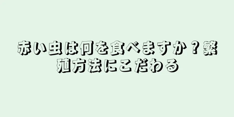 赤い虫は何を食べますか？繁殖方法にこだわる