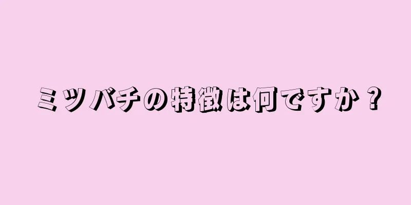 ミツバチの特徴は何ですか？