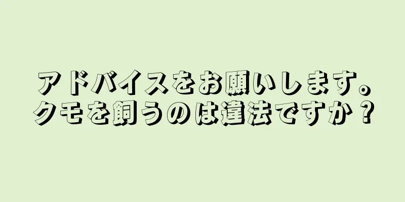 アドバイスをお願いします。クモを飼うのは違法ですか？