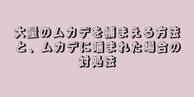 大量のムカデを捕まえる方法と、ムカデに噛まれた場合の対処法
