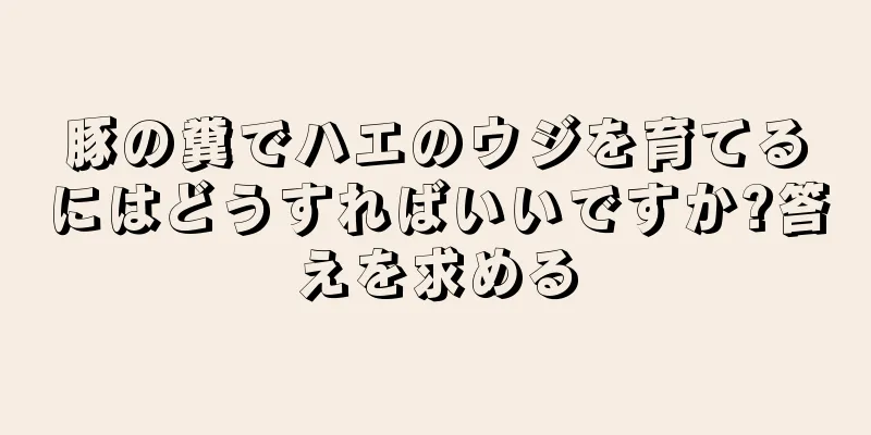 豚の糞でハエのウジを育てるにはどうすればいいですか?答えを求める