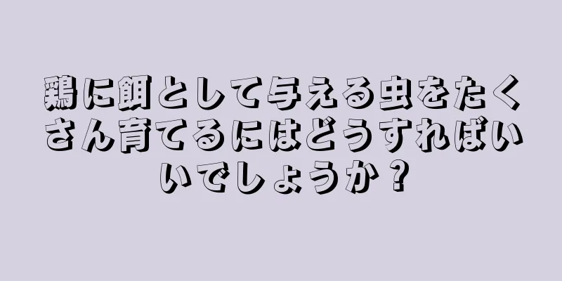 鶏に餌として与える虫をたくさん育てるにはどうすればいいでしょうか？