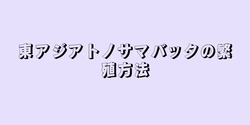 東アジアトノサマバッタの繁殖方法