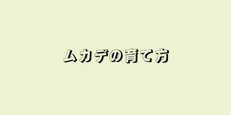 ムカデの育て方