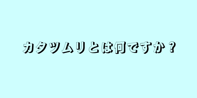 カタツムリとは何ですか？