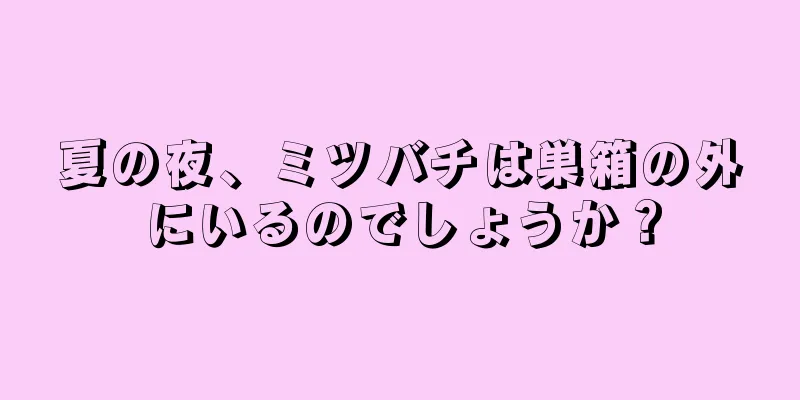 夏の夜、ミツバチは巣箱の外にいるのでしょうか？