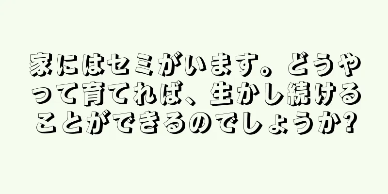 家にはセミがいます。どうやって育てれば、生かし続けることができるのでしょうか?