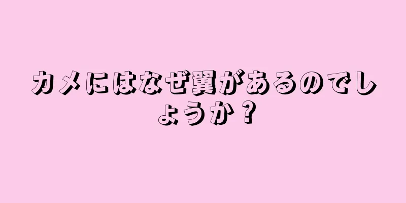 カメにはなぜ翼があるのでしょうか？