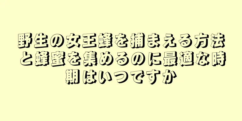 野生の女王蜂を捕まえる方法と蜂蜜を集めるのに最適な時期はいつですか