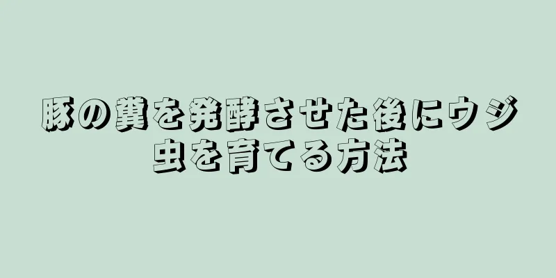 豚の糞を発酵させた後にウジ虫を育てる方法
