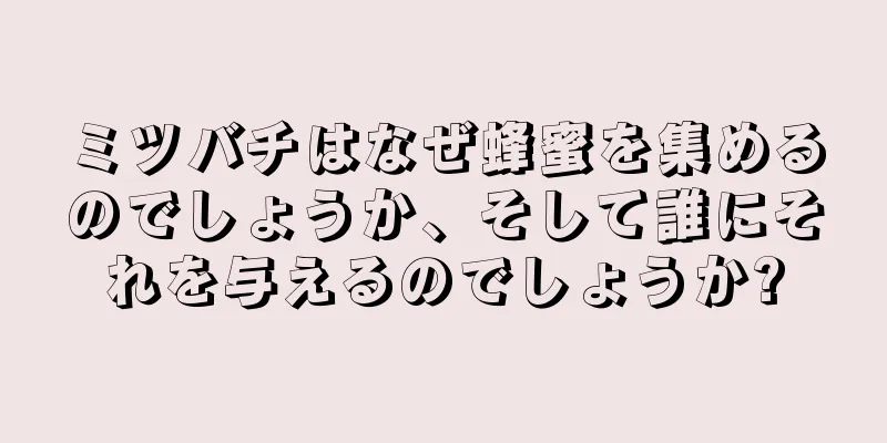 ミツバチはなぜ蜂蜜を集めるのでしょうか、そして誰にそれを与えるのでしょうか?