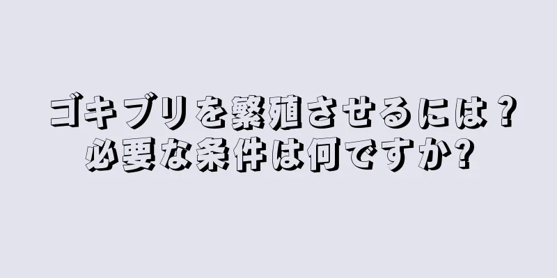 ゴキブリを繁殖させるには？必要な条件は何ですか?