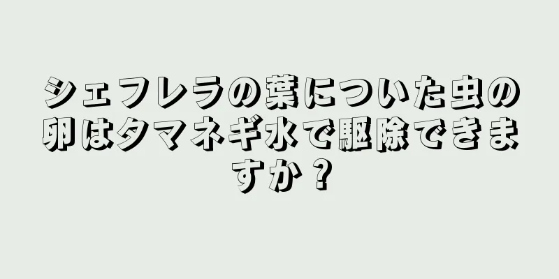 シェフレラの葉についた虫の卵はタマネギ水で駆除できますか？