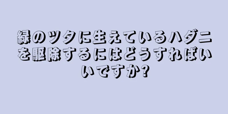 緑のツタに生えているハダニを駆除するにはどうすればいいですか?