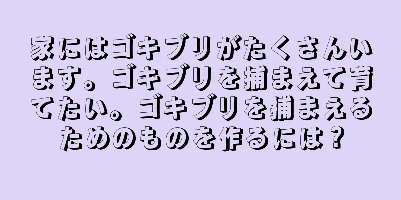 家にはゴキブリがたくさんいます。ゴキブリを捕まえて育てたい。ゴキブリを捕まえるためのものを作るには？