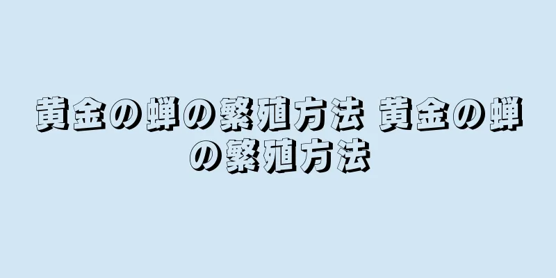 黄金の蝉の繁殖方法 黄金の蝉の繁殖方法