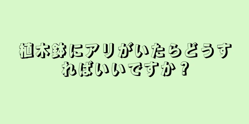 植木鉢にアリがいたらどうすればいいですか？