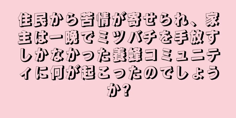 住民から苦情が寄せられ、家主は一晩でミツバチを手放すしかなかった養蜂コミュニティに何が起こったのでしょうか?