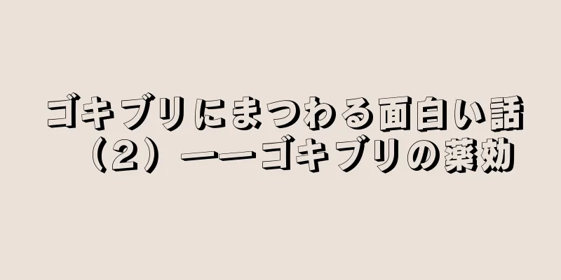 ゴキブリにまつわる面白い話（２）――ゴキブリの薬効