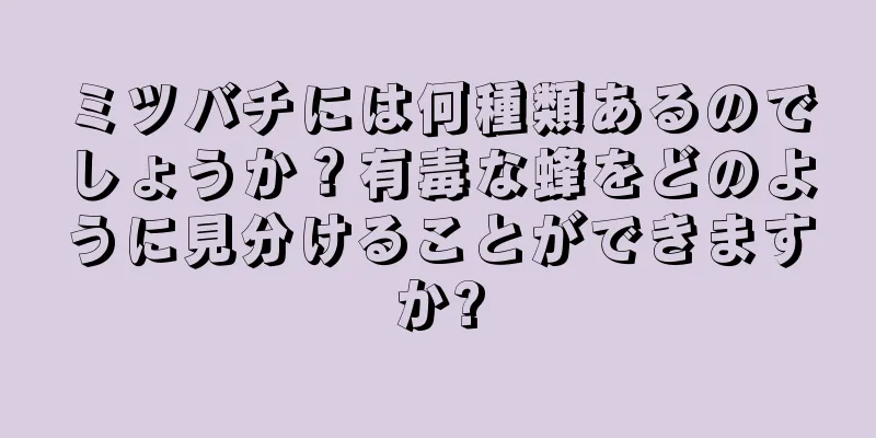 ミツバチには何種類あるのでしょうか？有毒な蜂をどのように見分けることができますか?