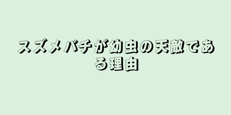 スズメバチが幼虫の天敵である理由