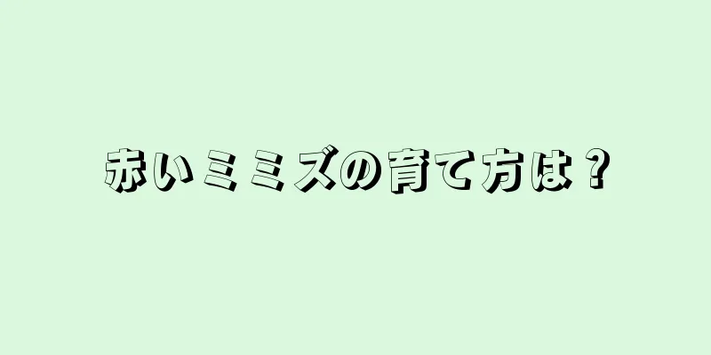 赤いミミズの育て方は？