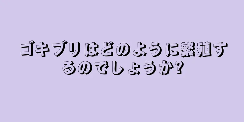 ゴキブリはどのように繁殖するのでしょうか?