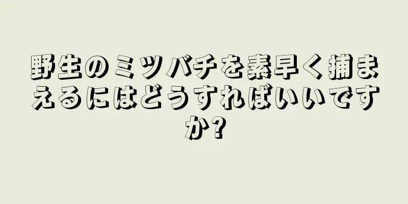 野生のミツバチを素早く捕まえるにはどうすればいいですか?