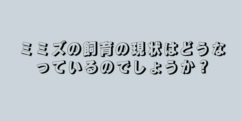 ミミズの飼育の現状はどうなっているのでしょうか？