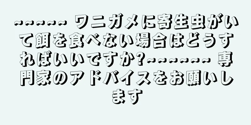 ~~~~~ ワニガメに寄生虫がいて餌を食べない場合はどうすればいいですか?~~~~~~ 専門家のアドバイスをお願いします