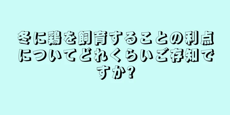 冬に鶏を飼育することの利点についてどれくらいご存知ですか?