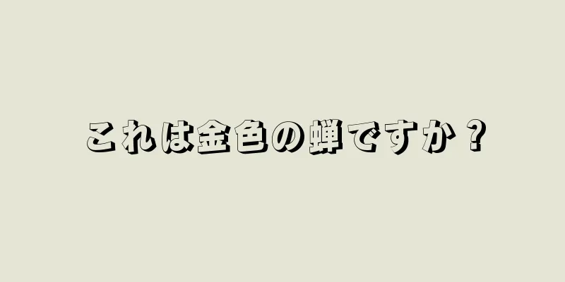 これは金色の蝉ですか？