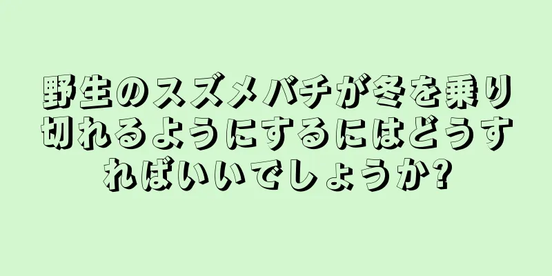 野生のスズメバチが冬を乗り切れるようにするにはどうすればいいでしょうか?