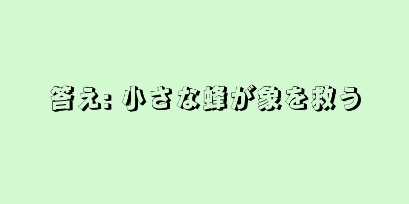 答え: 小さな蜂が象を救う