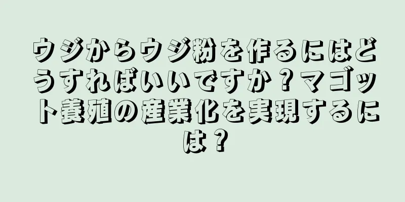 ウジからウジ粉を作るにはどうすればいいですか？マゴット養殖の産業化を実現するには？