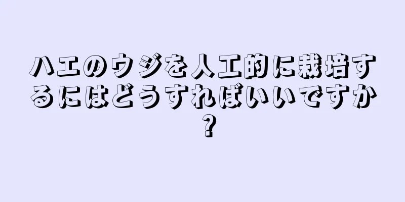 ハエのウジを人工的に栽培するにはどうすればいいですか？