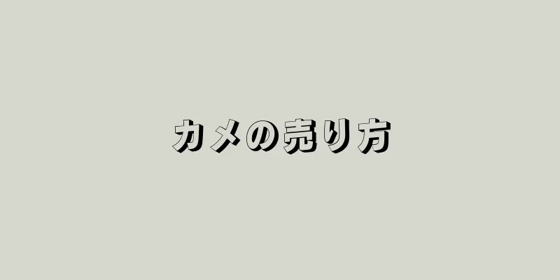 カメの売り方