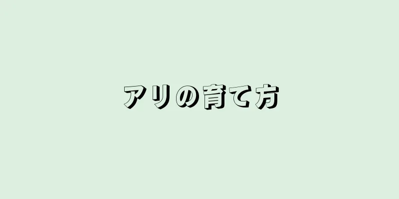 アリの育て方