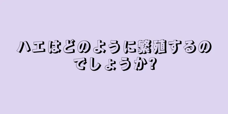 ハエはどのように繁殖するのでしょうか?