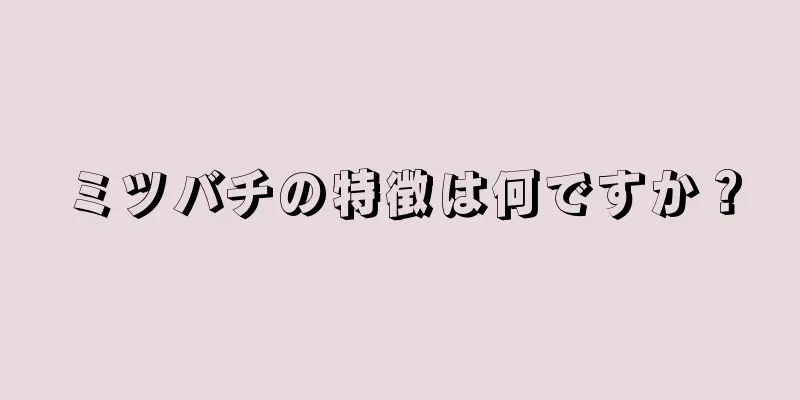 ミツバチの特徴は何ですか？